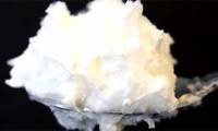 Mushroom protein can replace egg whites