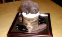 Musical instruments from pre-Columbian times