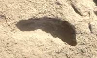 Mysterious 1.5 million year old footprints reveal surprise