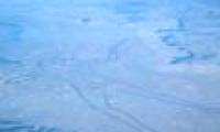 Mysterious Aboriginal drawing 4.2km long in the Australian desert