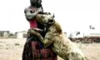 Mysterious beasts let out a savage laughter