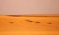 Mysterious circle on the American field