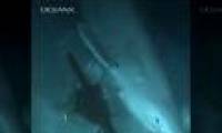 Mysterious deep-sea shark older than dinosaurs