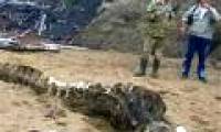 Mysterious 'monster' skeleton in Russia