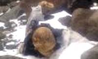 Mysterious mummy in the glacier in the mountains