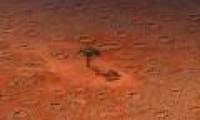 Mysterious perpetrator creates 'fairy circle'