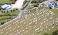 Mysterious stone statues of prehistoric stone in France