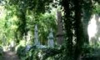 Mysterious vampire in Highgate cemetery