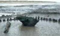 Mysterious wooden rings on the coast