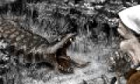Mysteriously hunted mysterious creatures in Japan