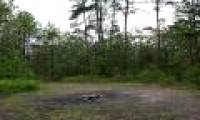 Mysteriously the circle of 'devil's' land, grass cannot grow
