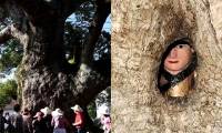 Mystery of 'Tree Hugging Buddha Statue' in China: Experts Decode from Story Retold by Village Elder
