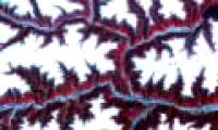 NASA announces unpublished Earth image