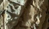 NASA discovered rod-shaped objects on Mars