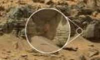 NASA discovers 'aliens' on Mars?