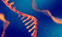 NASA Discovers an RNA Strain That Could Redefine the Origin Story of Life