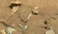 NASA explains the human skeleton image on Mars