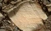 NASA found the slab that could possibly contain life on Mars