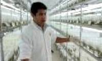NASA's plan to plant potatoes on Mars