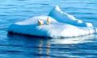 Nature of the icy region