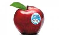 Never buy fruits whose code starts with 8