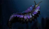 New 500 million year old species is as terrifying as 'alien creatures'
