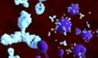 New antibodies help reduce the amount of HIV virus in the blood
