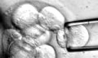 New breakthrough helps infertile women have children