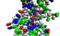 New breakthrough helps prevent the development of cancer