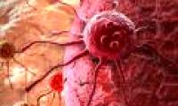 New compounds prevent the development of cancer