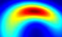 New conjecture about the shape of a black hole
