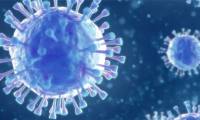 New corona virus detected in Sweden, 'don't know if it is dangerous to people'