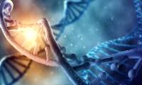 New discoveries about human DNA.