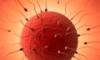 New discoveries bring hope to infertility