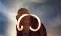 New discovery about the cause of mammoth extinction