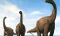 New discovery: Dinosaurs also have a mechanism to replace teeth