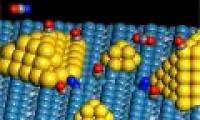 New discovery of catalysts
