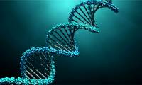 New DNA technology makes us 'redraw' the evolutionary tree