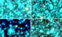 New exciting globular cluster in the Milky Way galaxy