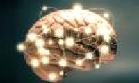 New findings by US scientists in the treatment of Parkinson's disease