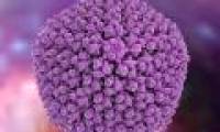 New HIV treatment vaccines successfully tested on people