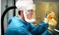 New hope for A / H1N1 flu vaccine