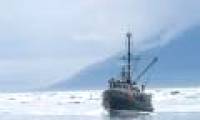 New hope for marine ecosystems