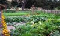 New information technology helps to bring in bumper crops