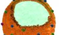 New materials help filter toxins from the blood