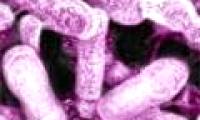 New method of treating cancer, gout, blood pressure