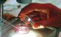 New method of treating infertility for women