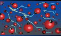 New record for quantum solidarity