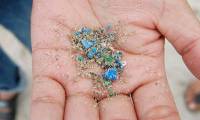 New research: 'Microplastics promote cancer metastasis'