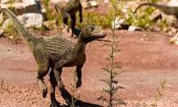 New research reveals the cause of the mass death of dinosaurs